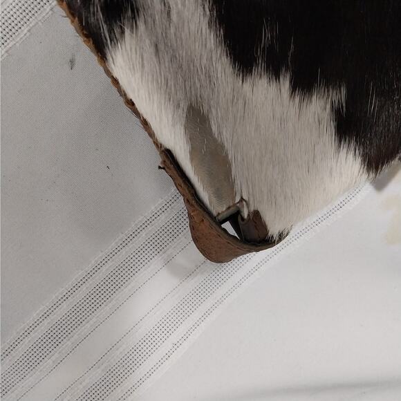 RICH BROWN AND WHITE GENUINE COWHIDE LEATHER CROSSBODY PURSE, BAG, HANDBAG! - Picture 8 of 10